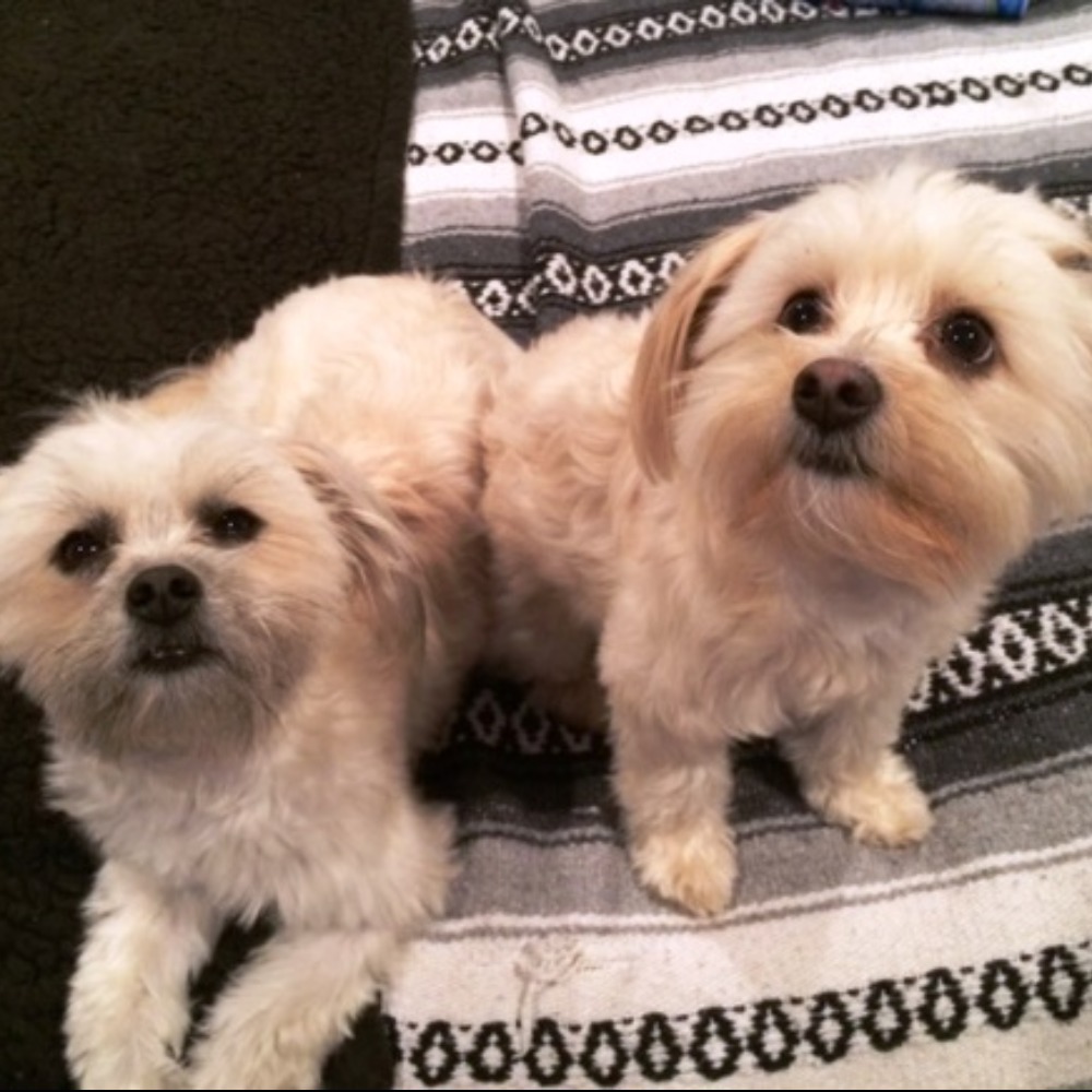 Meet your Posher, Elle